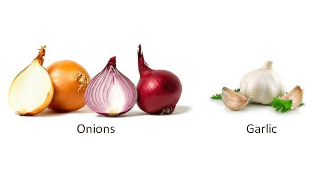Classification of vegetables - Bulb vegetables
