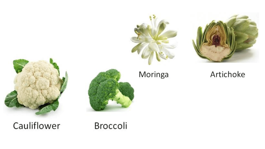 Classification of vegetables - Flower vegetables