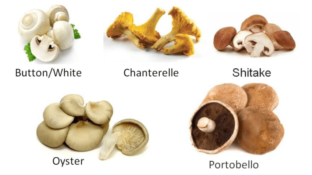 Classification of vegetables - Fungi vegetables