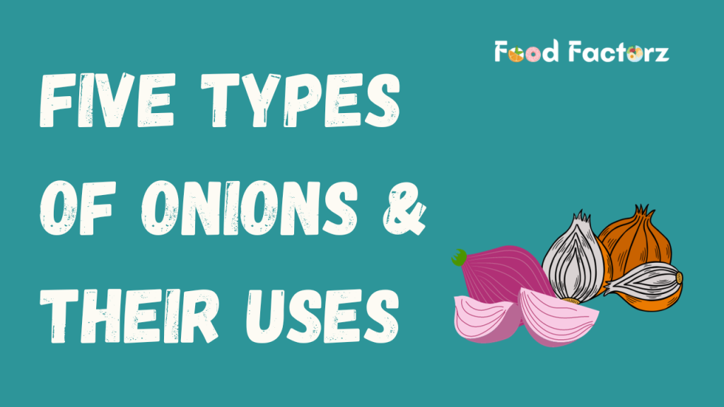 FIVE TYPES OF ONIONS AND THEIR USES